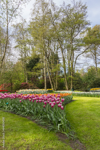 Flowerbed in spring with bulbs