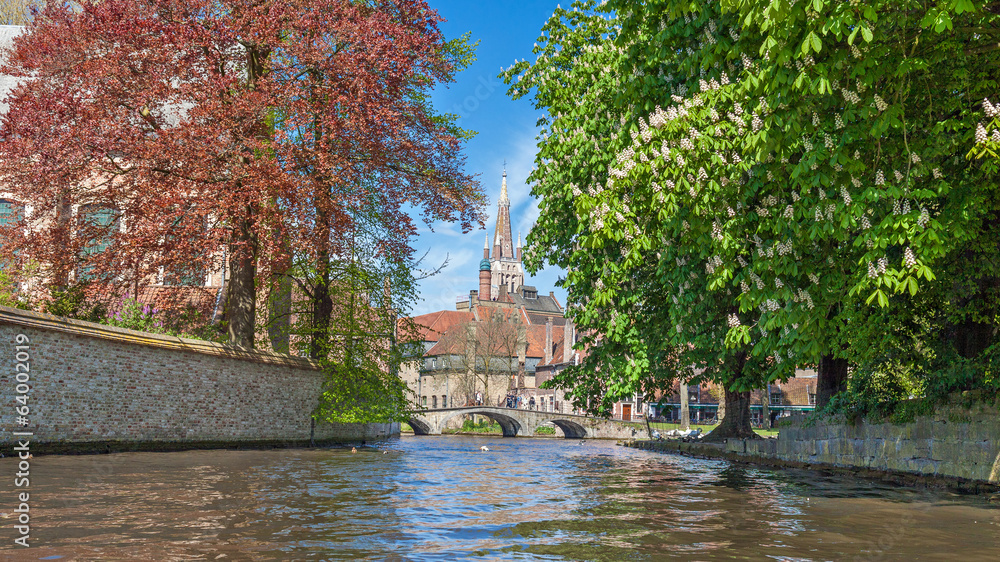Obraz premium Colorful trees and Church