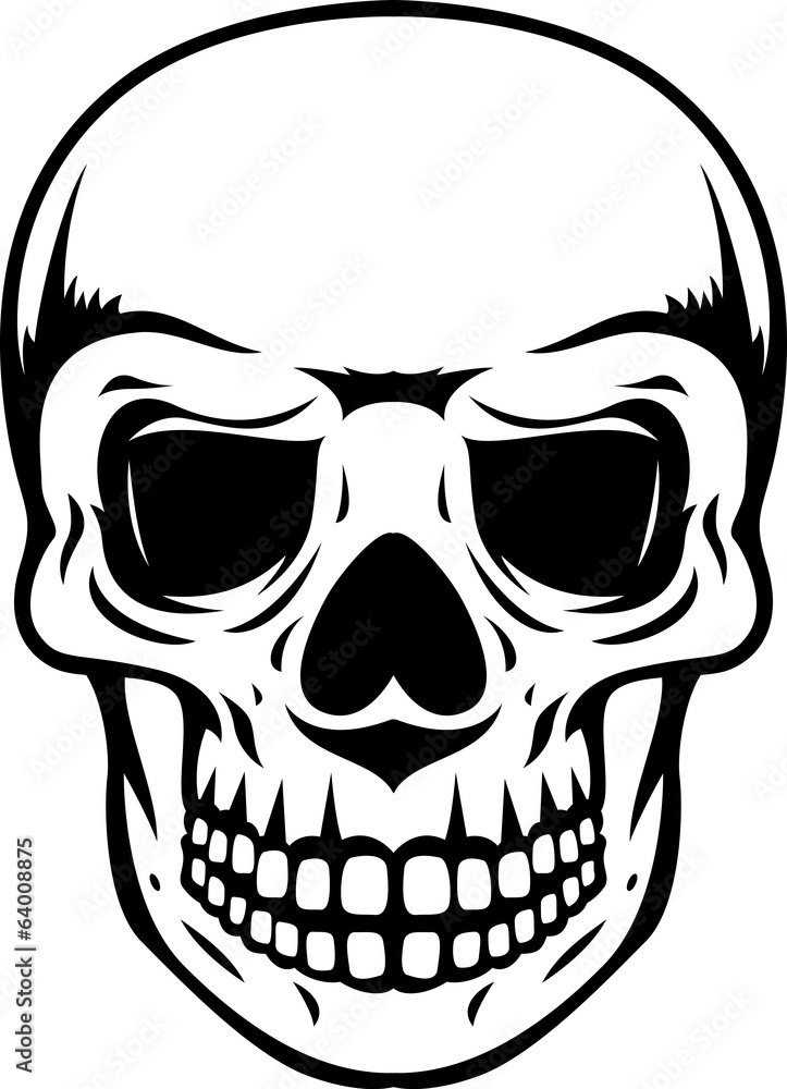 Black and white human skull with a lower jaw Black and white human skull with a lower jaw