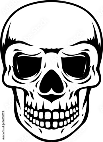 Fototapeta Naklejka Na Ścianę i Meble -  Black and white human skull with a lower jaw