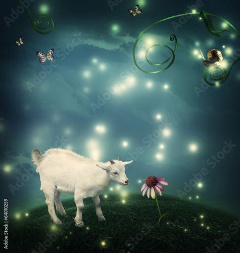 Baby goat in fantasy hilltop with snail and butterflies