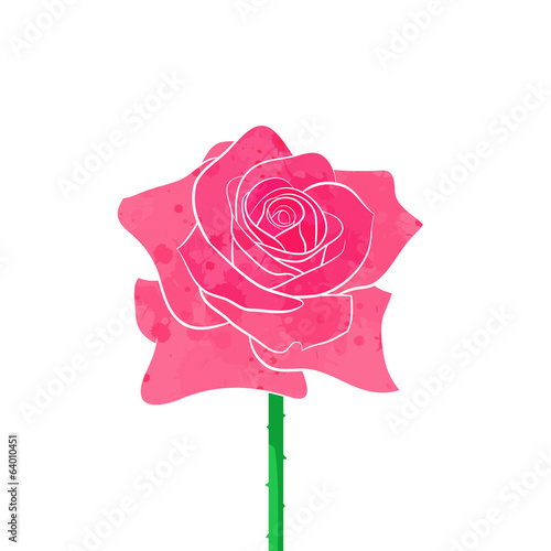 Red rose vector
