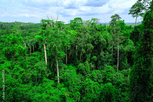 Kakum National Park, Ghana, West Africa