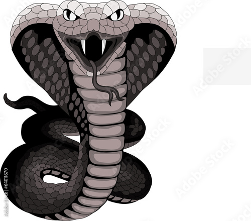 Cobra tattoo