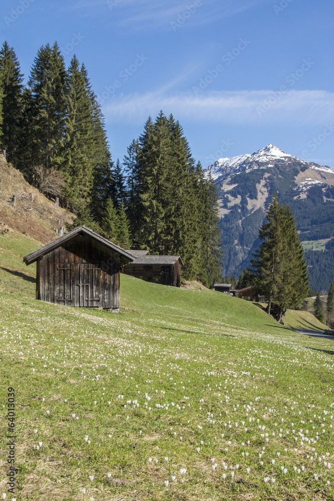 Bergwelt Bergwelt