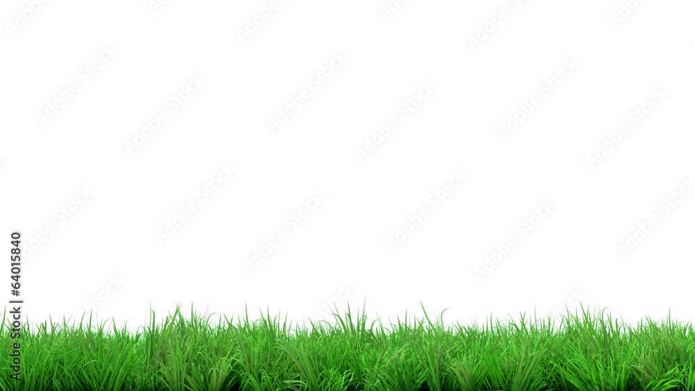 gorgeous green grass summer animated on white background