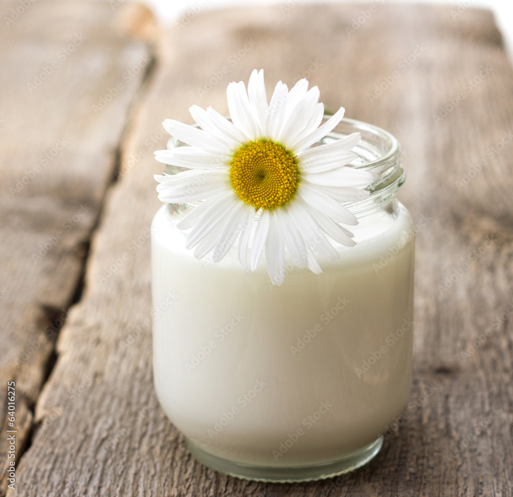 homemade yogurt homemade yogurt