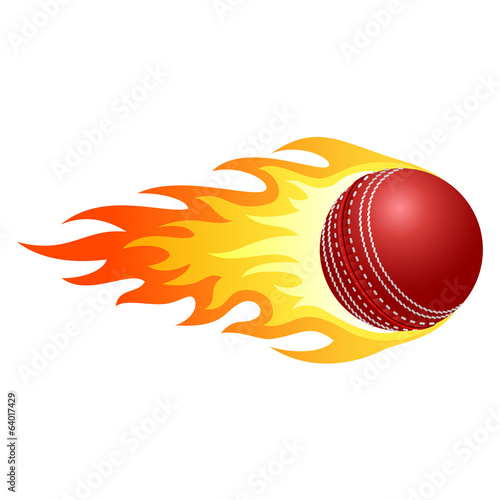 Flaming cricket ball