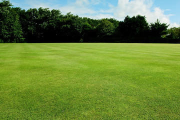 Green short cut grass sport field background
