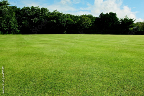Green short cut grass sport field background