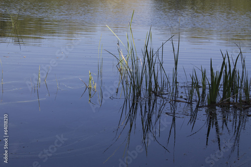 blue pond