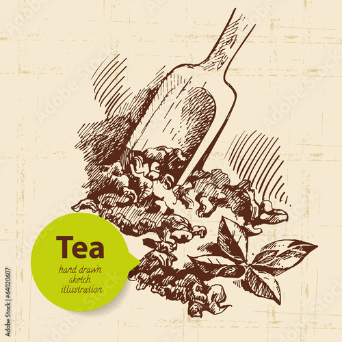 Tea vintage background. Hand drawn sketch illustration.