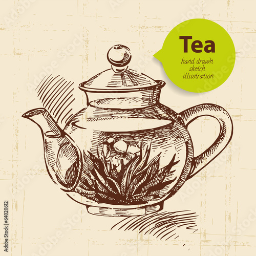 Tea vintage background. Hand drawn sketch illustration.