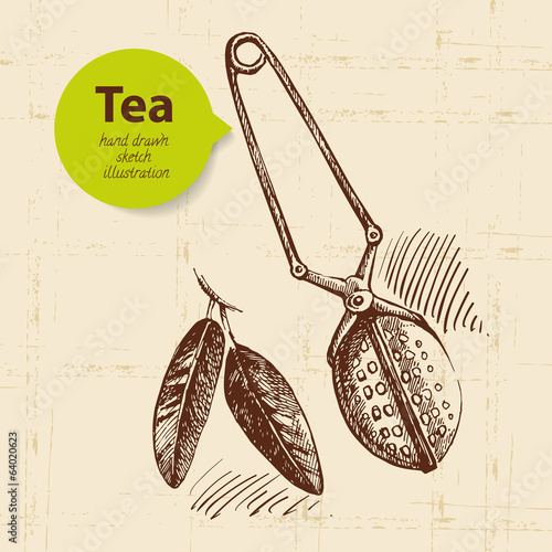 Tea vintage background. Hand drawn sketch illustration