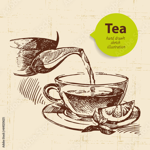 Tea vintage background. Hand drawn sketch illustration.