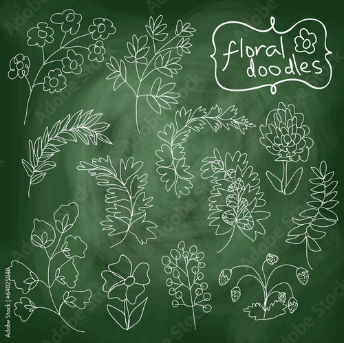 Flowers and plants set on chalkboard background