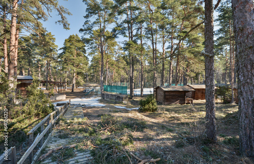 Small houses in the forest, spirng season