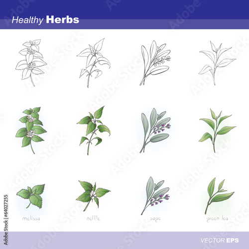 Healthy herbs