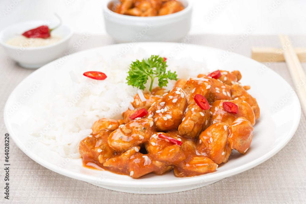 chicken in tomato sauce with sesame seeds and rice, close-up chicken in tomato sauce with sesame seeds and rice, close-up