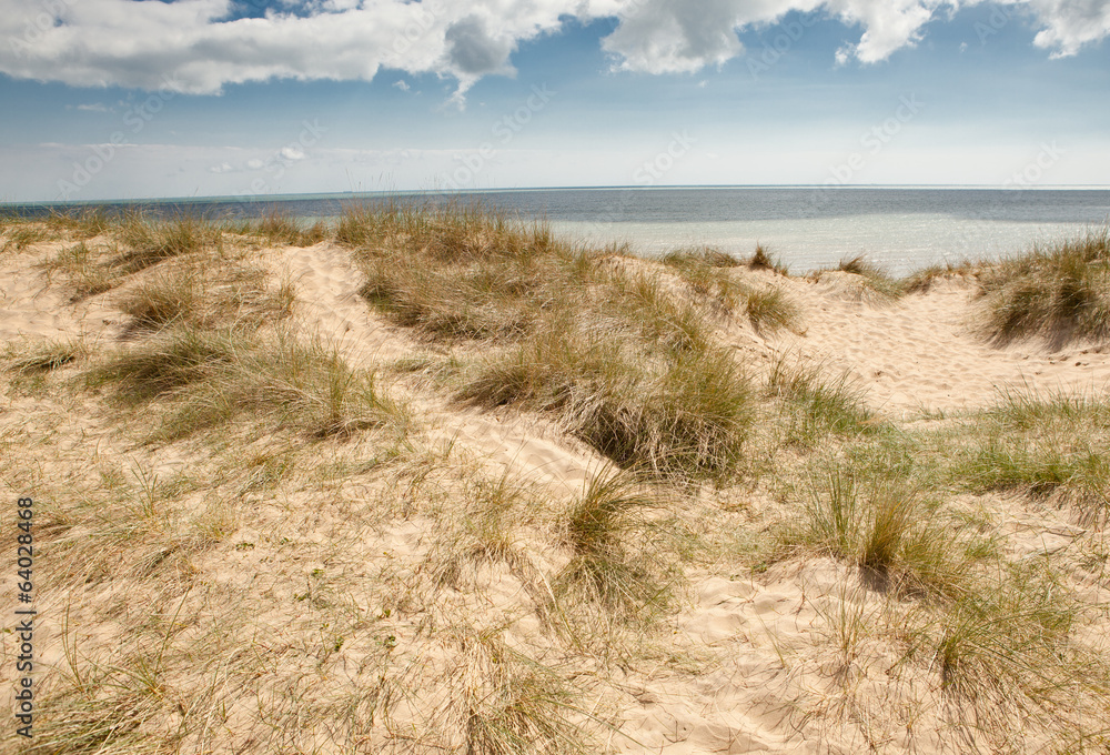 Camber sands, Camber: dunes and the beach near Rye in East Sussex Camber sands, Camber: dunes and the beach near Rye in East Sussex