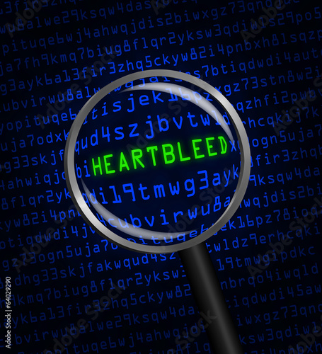 Heartbleed revealed in computer code through a magnifying glass photo