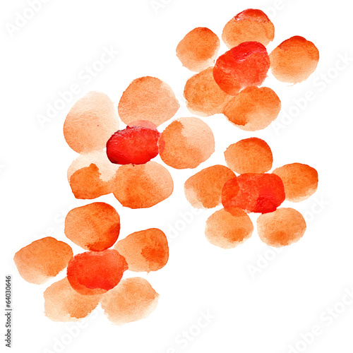 Fototapeta Naklejka Na Ścianę i Meble -  Watercolor flowers