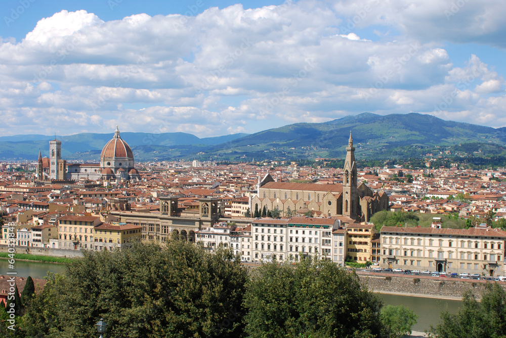 Florence, city of art, history and culture - Tuscany - Italy 113