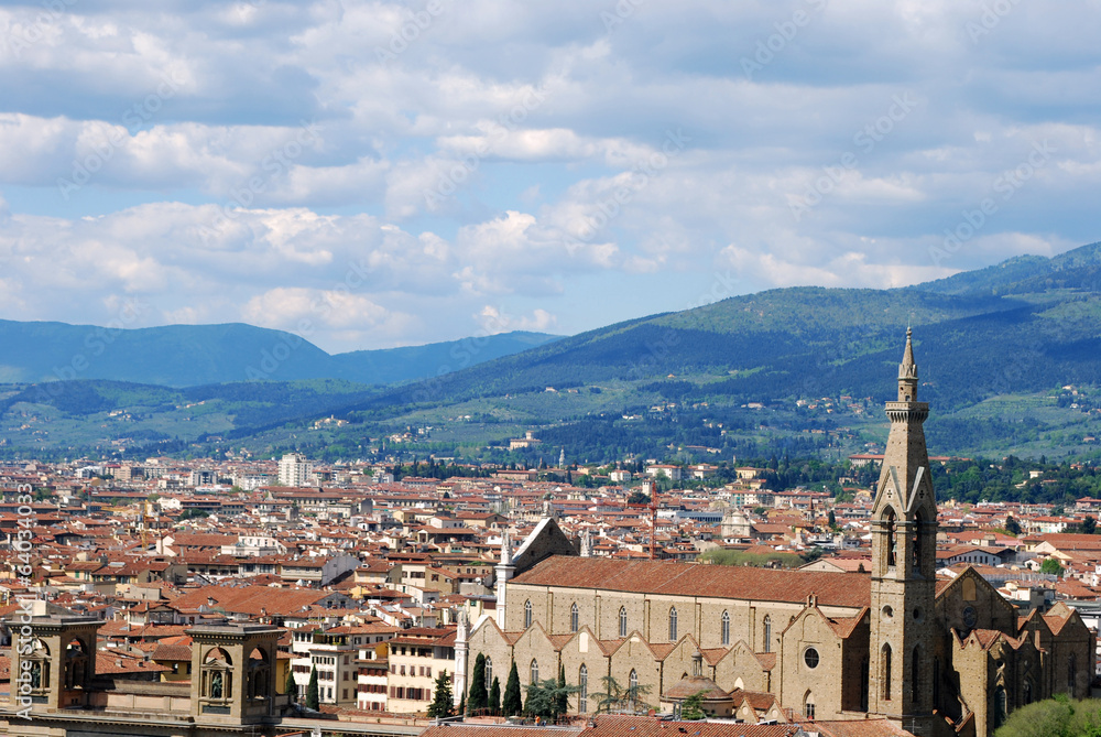 Florence, city of art, history and culture - Tuscany - Italy 110