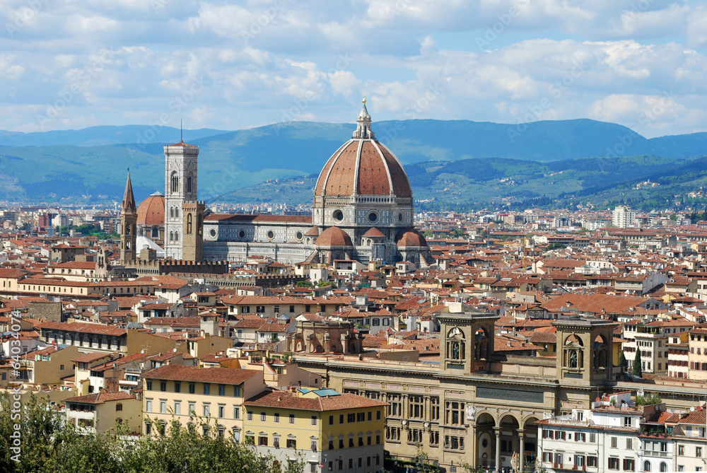 Florence, city of art, history and culture - Tuscany - Italy 109