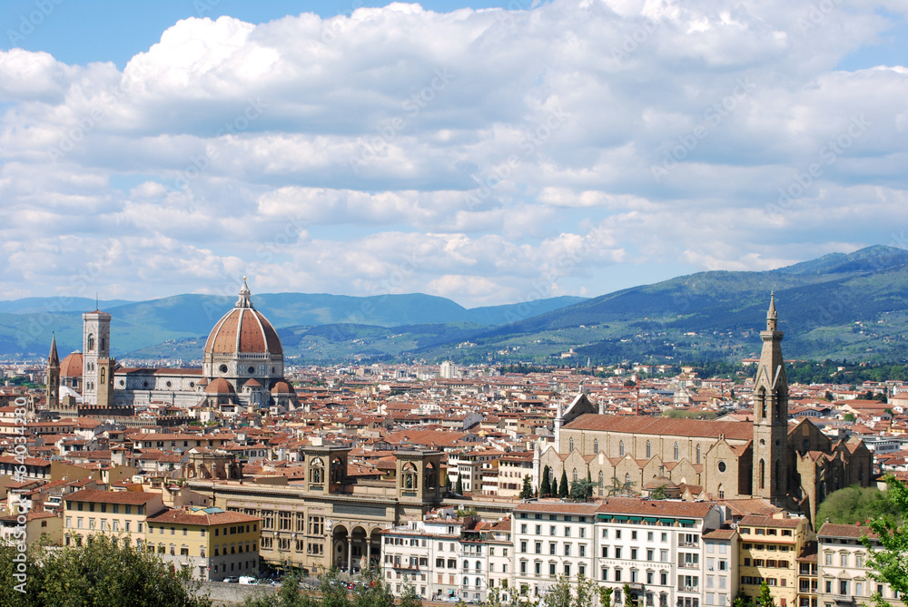 Florence, city of art, history and culture - Tuscany - Italy 106