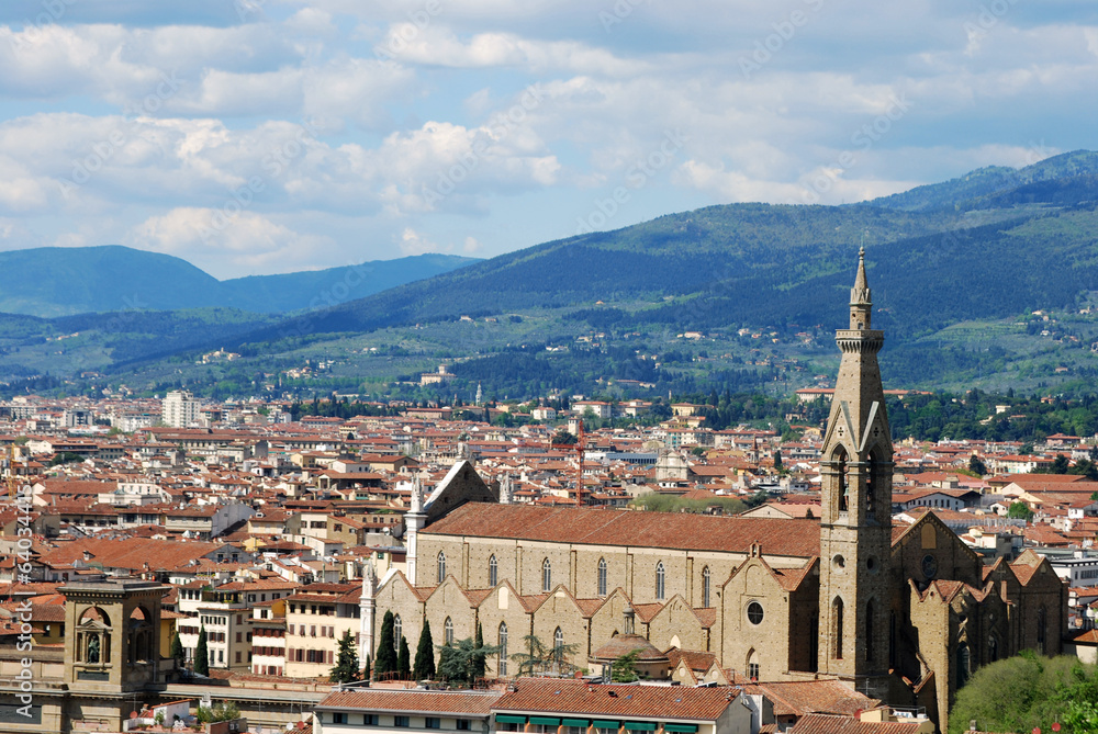 Florence, city of art, history and culture - Tuscany - Italy 104