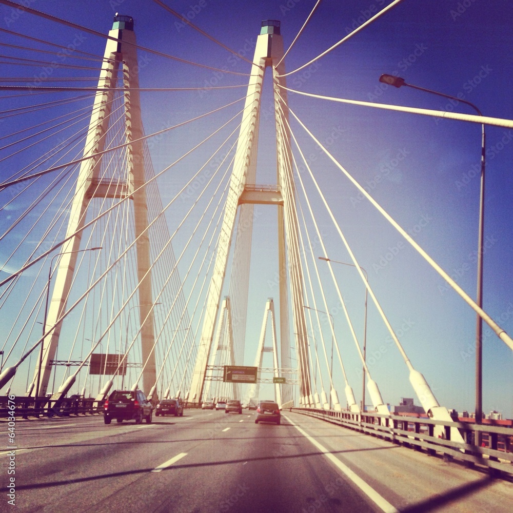 beautiful bridge in saint-petersburg on daylight, Russia