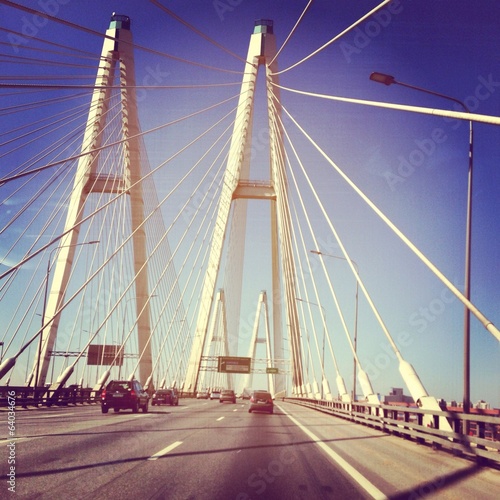 beautiful bridge in saint-petersburg on daylight, Russia