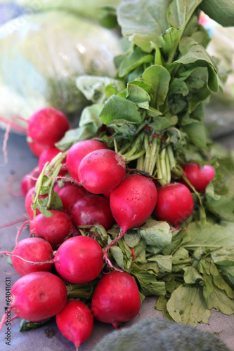 red radishes