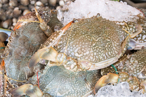 Fresh raw flower crab or blue crab in sedfood market