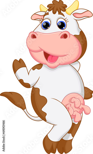 Funny cow cartoon