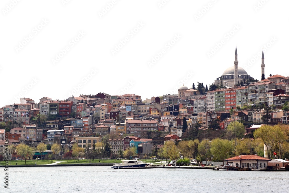 Obraz premium Istanbul Skyline on White Background