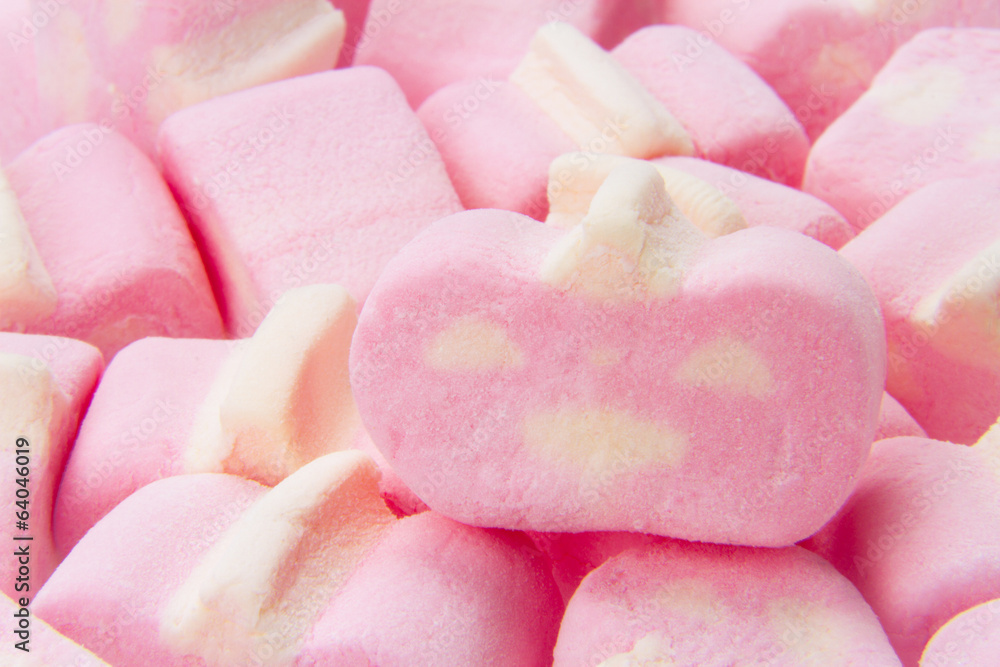 cotton candy cotton candy