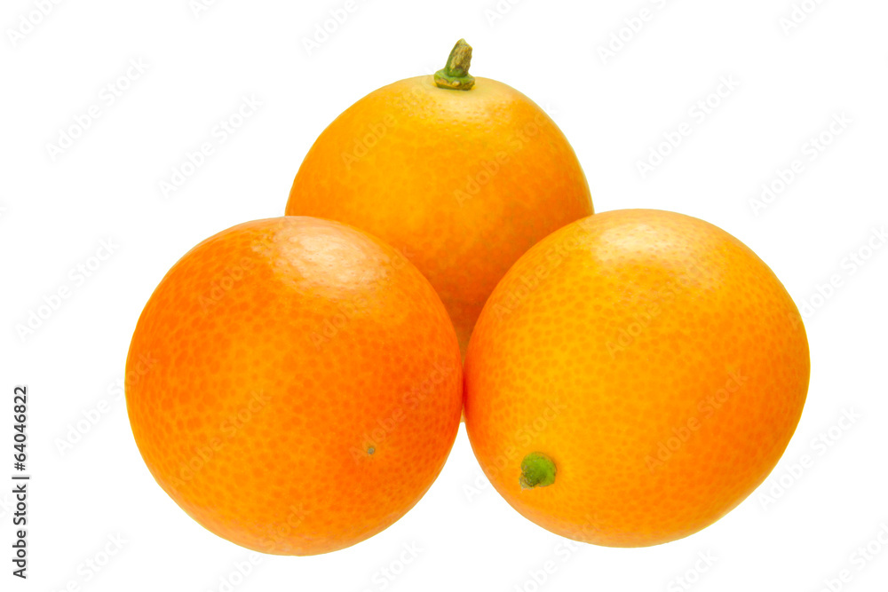 kumquat kumquat