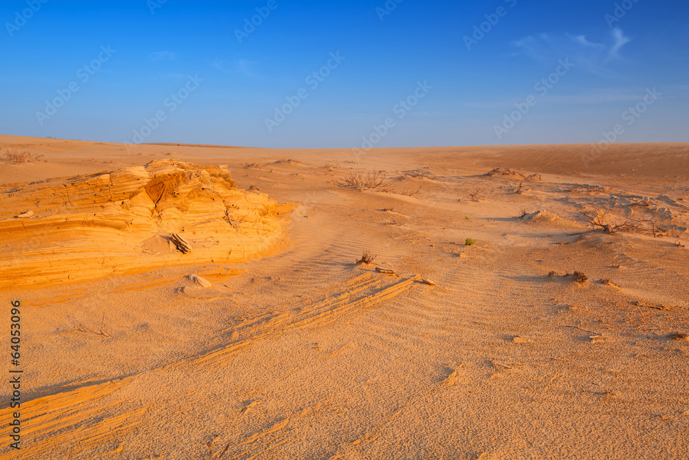 Sandy desert near Abu Dhabi, United Arab Emirates