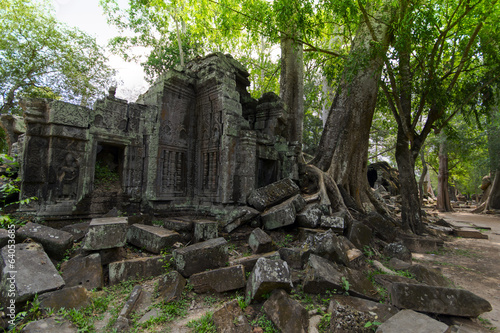 Prasat Ta Prum Ruins. photo