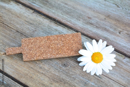 Margeritenblüte mit Schild