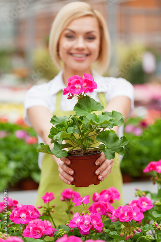 This flower is yours!