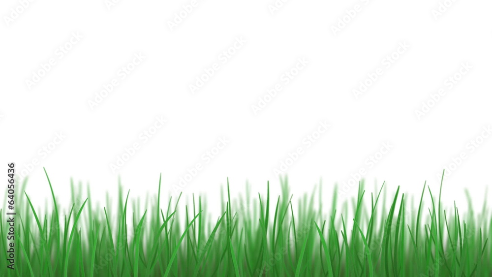 Grass and blue sky, loopable Grass and blue sky, loopable