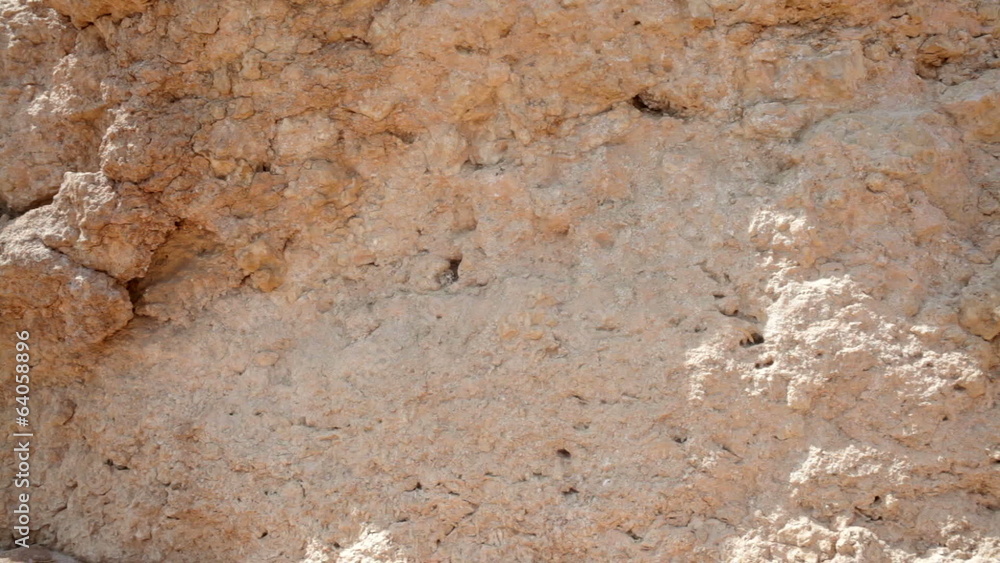 beautiful sandy texture vertical wall beautiful sandy texture vertical wall
