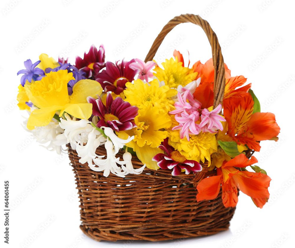 Beautiful flowers in wicker basket, isolated on white