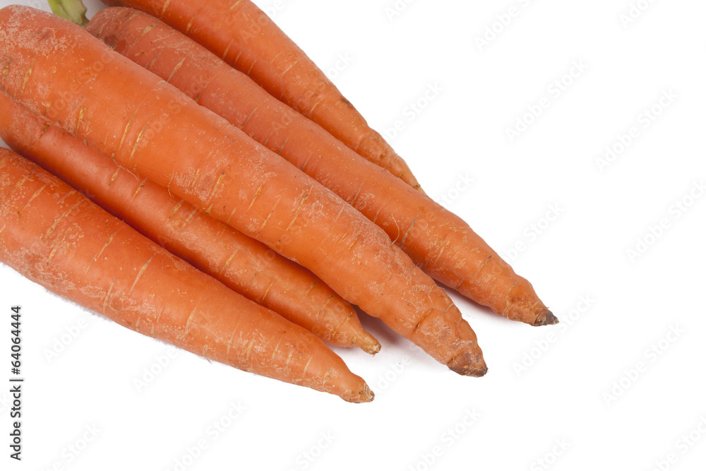 raw and fresh carrots in closeup over white raw and fresh carrots in closeup over white
