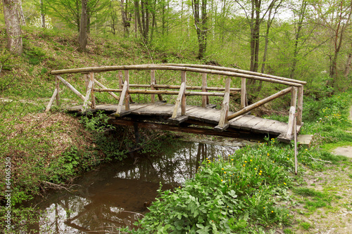 Wooden bridge in the forest