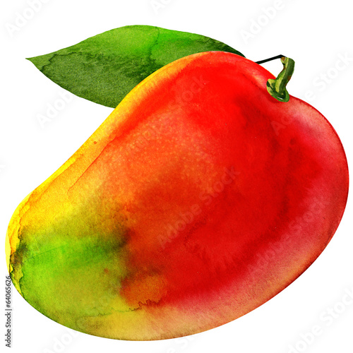 Obraz na płótnie mango fruit isolated on white background
