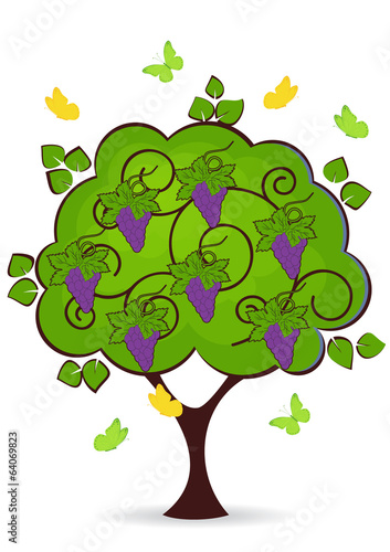 grape tree